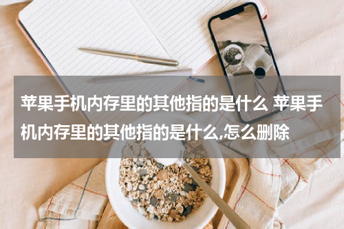 苹果手机内存里的其他指的是什么 苹果手机内存里的其他指的是什么,怎么删除