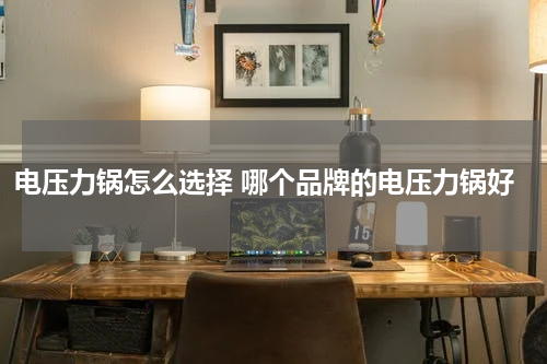 电压力锅怎么选择 哪个品牌的电压力锅好