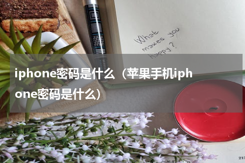 iphone密码是什么（苹果手机iphone密码是什么）