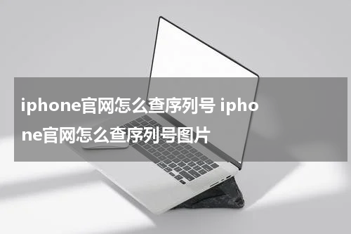 iphone官网怎么查序列号 iphone官网怎么查序列号图片