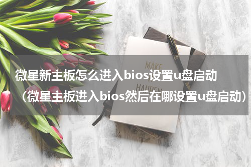 微星新主板怎么进入bios设置u盘启动（微星主板进入bios然后在哪设置u盘启动）