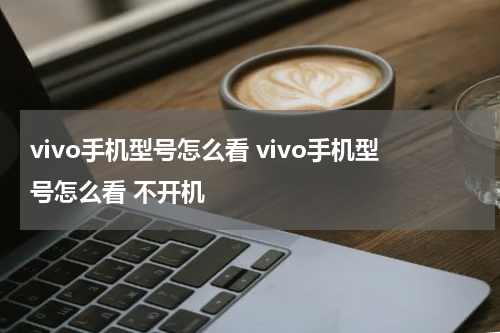 vivo手机型号怎么看 vivo手机型号怎么看 不开机
