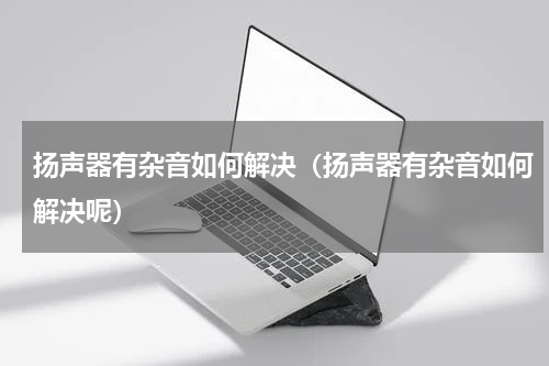 扬声器有杂音如何解决（扬声器有杂音如何解决呢）