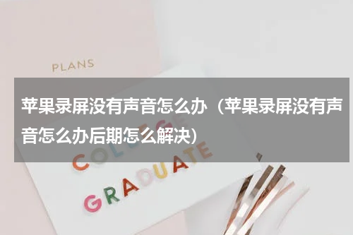 苹果录屏没有声音怎么办（苹果录屏没有声音怎么办后期怎么解决）
