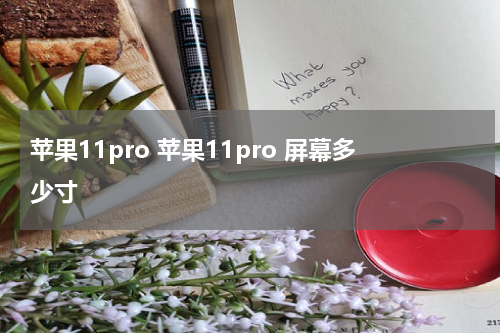 苹果11pro 苹果11pro 屏幕多少寸