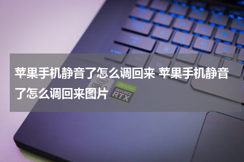 苹果手机静音了怎么调回来 苹果手机静音了怎么调回来图片