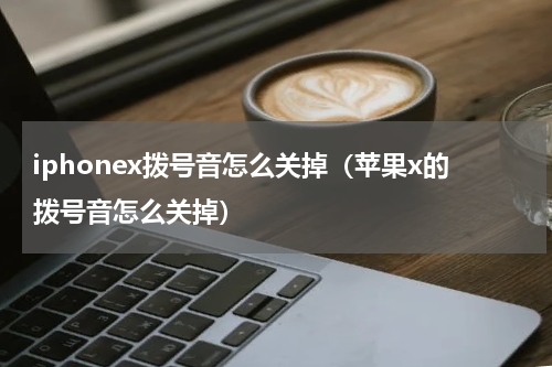 iphonex拨号音怎么关掉（苹果x的拨号音怎么关掉）