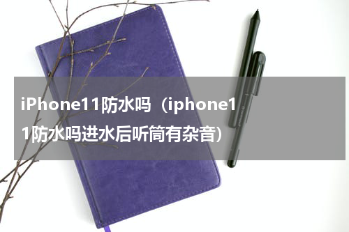 iPhone11防水吗（iphone11防水吗进水后听筒有杂音）