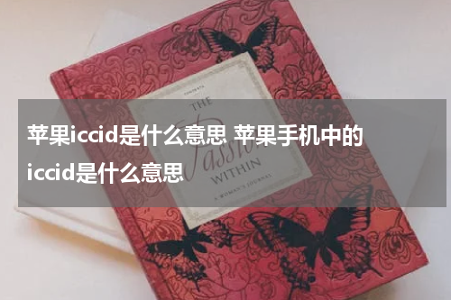 苹果iccid是什么意思 苹果手机中的iccid是什么意思