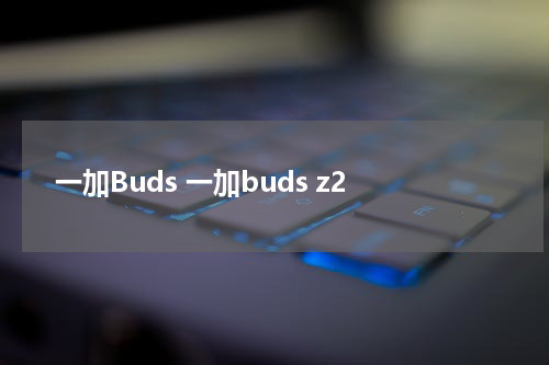 一加Buds 一加buds z2