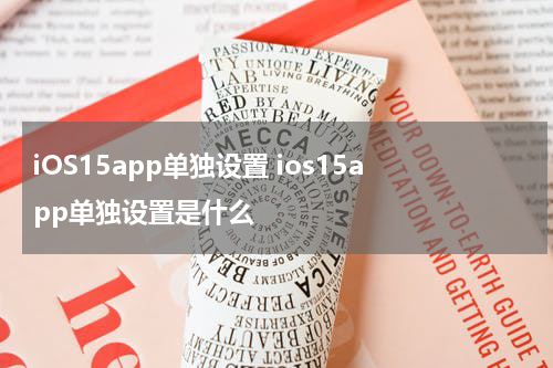 iOS15app单独设置 ios15app单独设置是什么