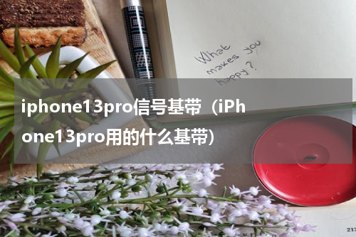 iphone13pro信号基带（iPhone13pro用的什么基带）