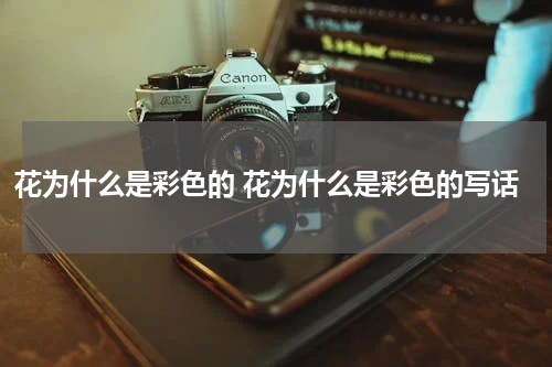 花为什么是彩色的 花为什么是彩色的写话