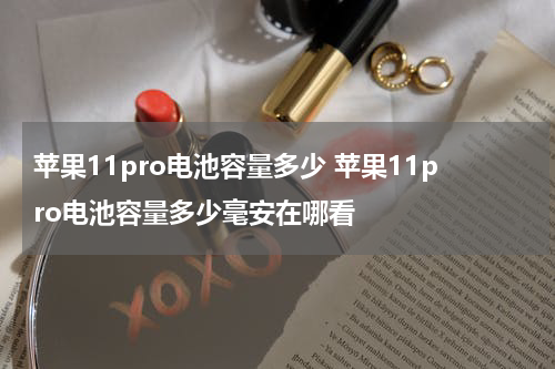 苹果11pro电池容量多少 苹果11pro电池容量多少毫安在哪看