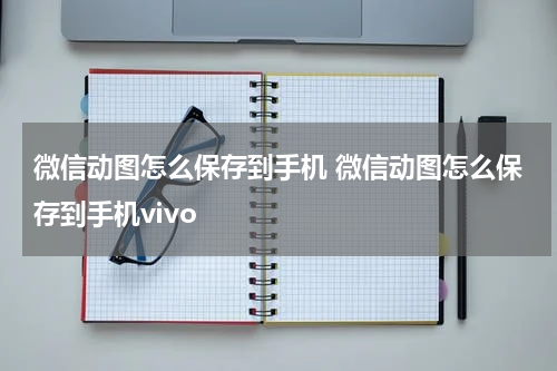 微信动图怎么保存到手机 微信动图怎么保存到手机vivo