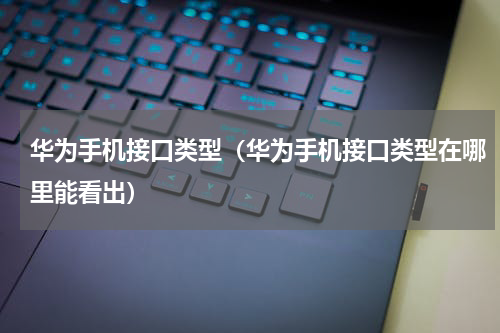 华为手机接口类型（华为手机接口类型在哪里能看出）