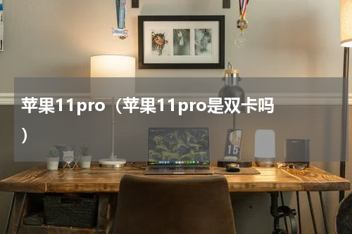 苹果11pro（苹果11pro是双卡吗）