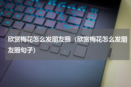 欣赏梅花怎么发朋友圈（欣赏梅花怎么发朋友圈句子）