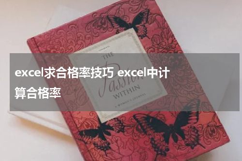 excel求合格率技巧 excel中计算合格率