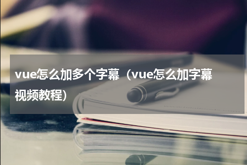 vue怎么加多个字幕(vue怎么加字幕视频教程)
