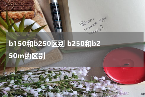 b150和b250区别 b250和b250m的区别