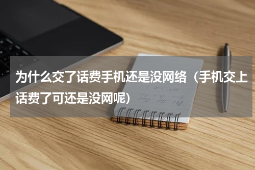 为什么交了话费手机还是没网络(手机交上话费了可还是没网呢)