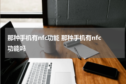 那种手机有nfc功能 那种手机有nfc功能吗