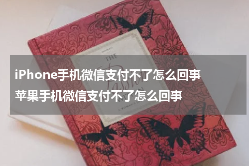 iPhone手机微信支付不了怎么回事 苹果手机微信支付不了怎么回事