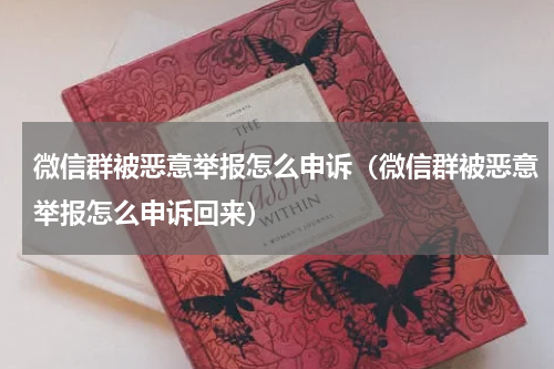 微信群被恶意举报怎么申诉(微信群被恶意举报怎么申诉回来)
