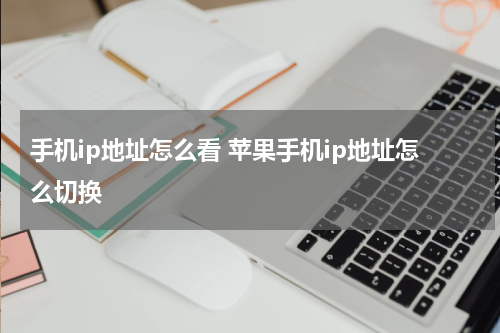 手机ip地址怎么看 苹果手机ip地址怎么切换
