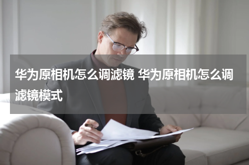 华为原相机怎么调滤镜 华为原相机怎么调滤镜模式