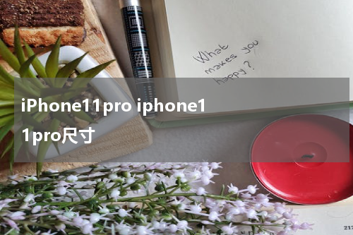 iPhone11pro iphone11pro尺寸