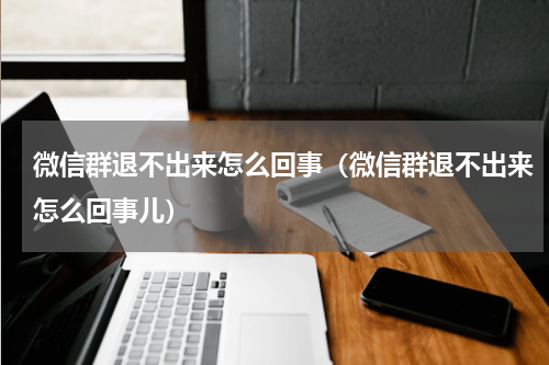 微信群退不出来怎么回事(微信群退不出来怎么回事儿)