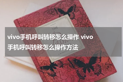 vivo手机呼叫转移怎么操作 vivo手机呼叫转移怎么操作方法