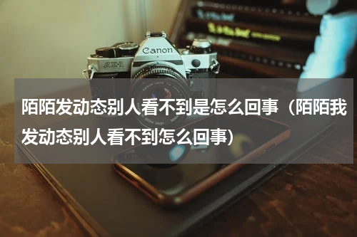 陌陌发动态别人看不到是怎么回事(陌陌我发动态别人看不到怎么回事)