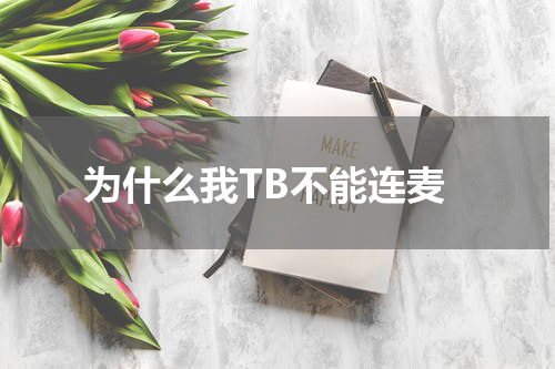 为什么我TB不能连麦