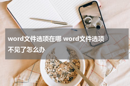word文件选项在哪 word文件选项不见了怎么办