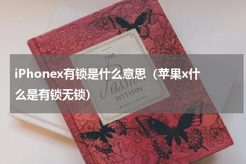 iPhonex有锁是什么意思（苹果x什么是有锁无锁）
