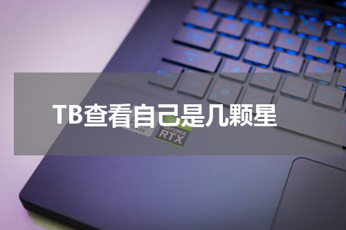 TB查看自己是几颗星