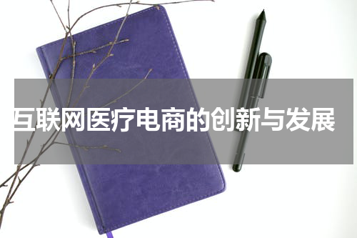  互联网医疗电商的创新与发展