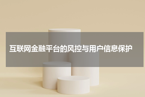 互联网金融平台的风控与用户信息保护