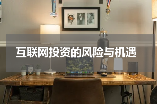  互联网投资的风险与机遇
