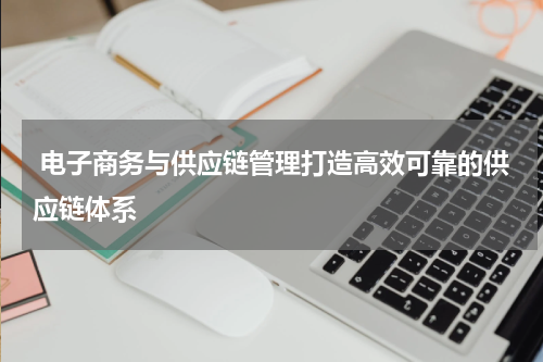 电子商务与供应链管理打造高效可靠的供应链体系