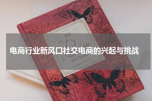  电商行业新风口社交电商的兴起与挑战