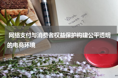 网络支付与消费者权益保护构建公平透明的电商环境