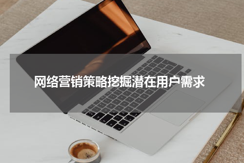  网络营销策略挖掘潜在用户需求