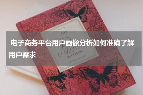  电子商务平台用户画像分析如何准确了解用户需求