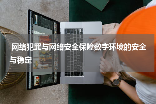 网络犯罪与网络安全保障数字环境的安全与稳定