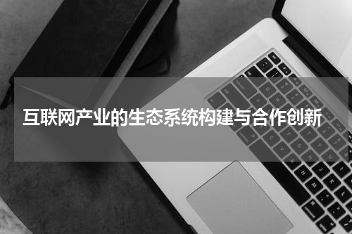  互联网产业的生态系统构建与合作创新