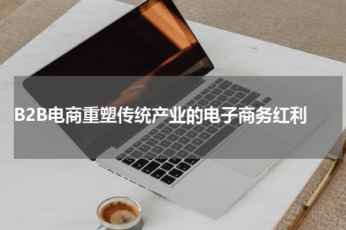 B2B电商重塑传统产业的电子商务红利